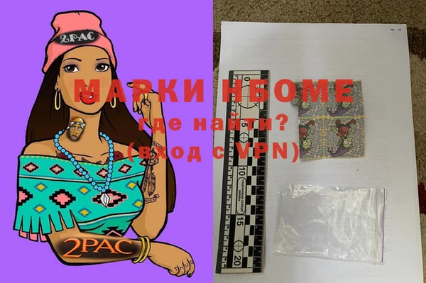 крисы Няндома