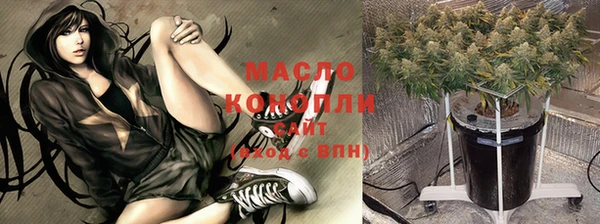 крисы Няндома