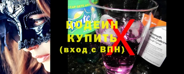 крисы Няндома