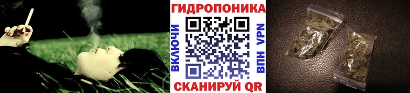 Купить закладки Медногорск Шишки марихуана White Widow